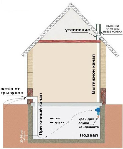 Продухи в фундаменте: как сделать, схема расположения, видео