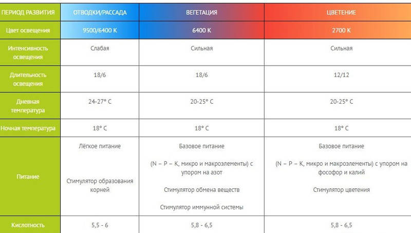 Светодиодное освещение теплиц: виды, расчёт светодиодной системы, плюсы и минусы освещения на светодиодах