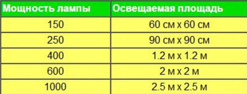 Светодиодное освещение теплиц: виды, расчёт светодиодной системы, плюсы и минусы освещения на светодиодах