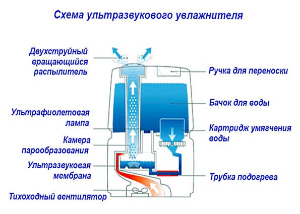 Увлажнитель воздуха для дома: плюсы и минусы, функции и возможности, виды и критерии выбора