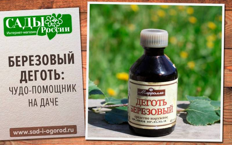 Методы обработки древесины, используемой для грядок