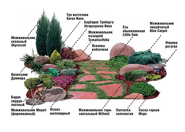 Рокарий своими руками (фото): стили рокариев, выбор растений, оформление