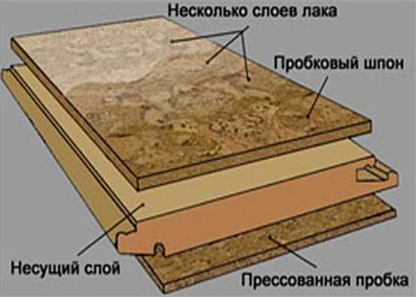 Пробковый пол: плюсы и минусы, особенности укладки, этапы монтажа, уход