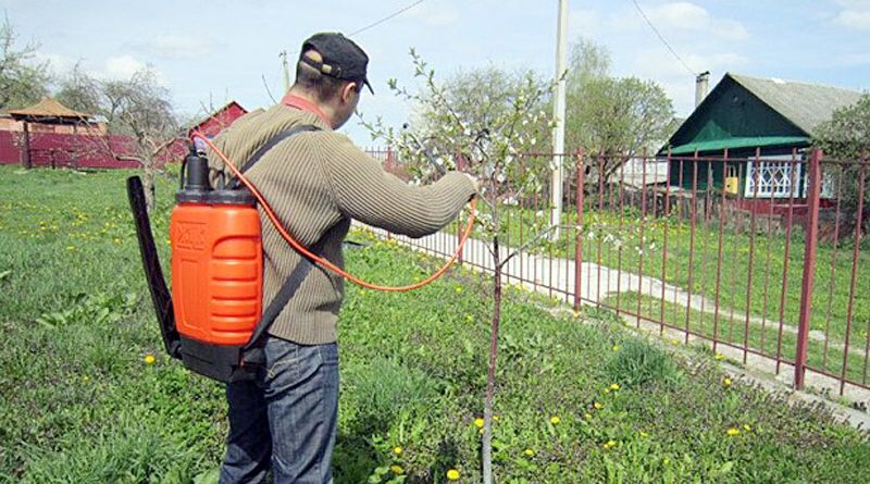 Садовый опрыскиватель: виды, советы как выбрать, сборка своими руками