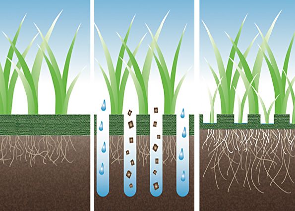 Аэратор для газона: виды, критерии выбора, самодельный аэратор