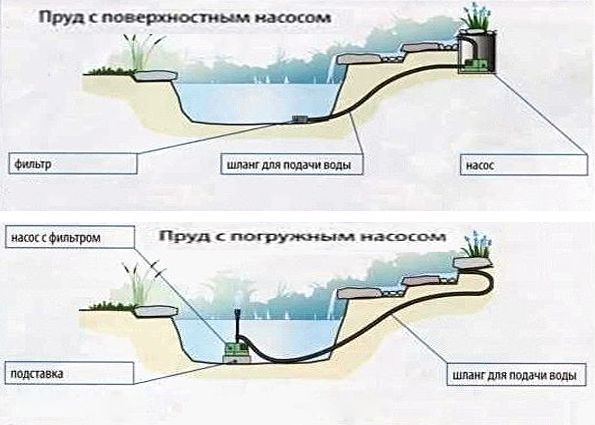 Фонтан на даче (фото): выбор места, проектирование, особенности монтажа