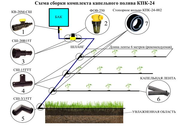 Капельный полив на даче: преимущества и недостатки, устройство, этапы монтажа своими руками