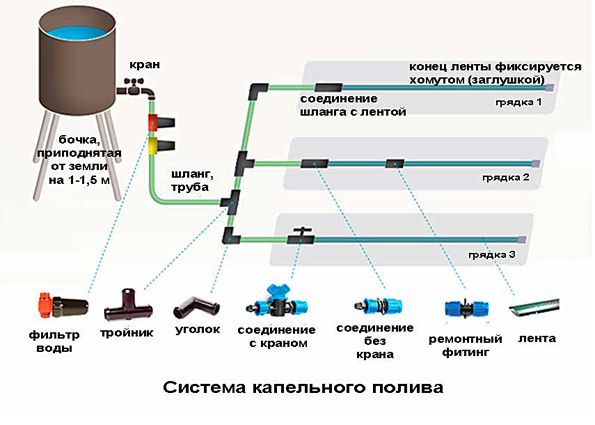 Капельный полив на даче: преимущества и недостатки, устройство, этапы монтажа своими руками