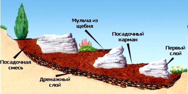  Обустройство альпийской горки своими руками