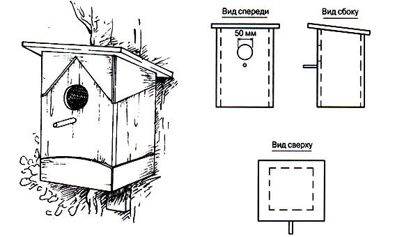 Скворечник своими руками: как сделать пошагово