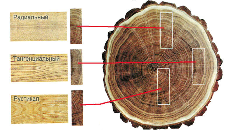 Общие сведения о древесине. Виды распилов